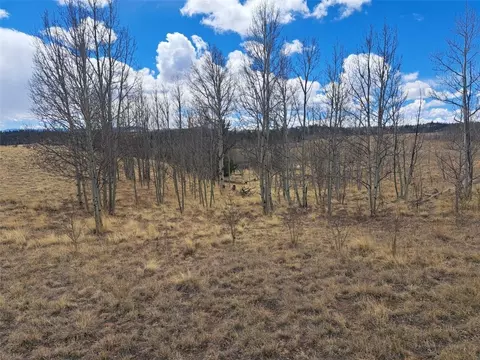 499 Kiowa St, Como, CO 80432 photo 21