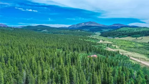 1655 Beaver Crk, Fairplay, CO 80440