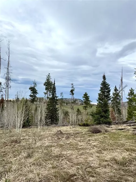 tbd Rein Way, Oak Creek, CO 80467