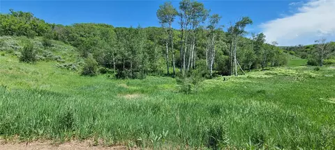 26000 Old Springs Rd, Oak Creek, CO 80467