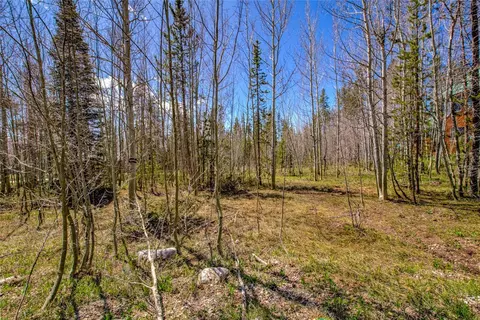 516 Royal Red Bird Dr, Silverthorne, CO 80498