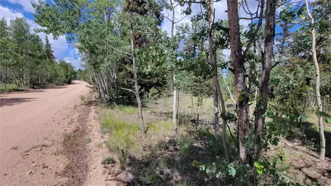 943 Bear Ln, Como, CO 80432