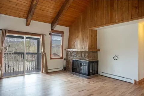 602 Ryan Gulch Rd #B, Silverthorne, CO 80498 photo 5