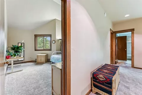 369 Cartier Ct, Dillon, CO 80435 photo 25