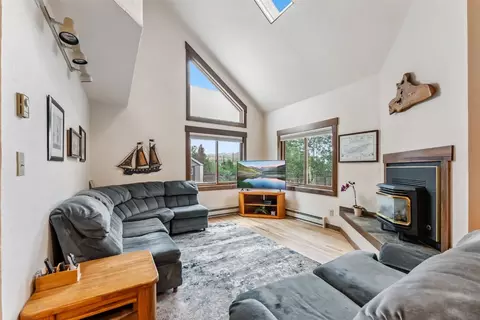 369 Cartier Ct, Dillon, CO 80435 photo 3