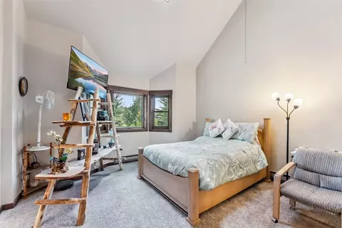 369 Cartier Ct, Dillon, CO 80435 photo 20
