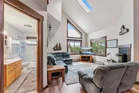 369 Cartier Ct, Dillon, CO 80435 photo 5