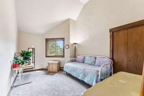 369 Cartier Ct, Dillon, CO 80435 photo 22