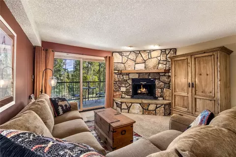 530 S French St #110, Breckenridge, CO 80424