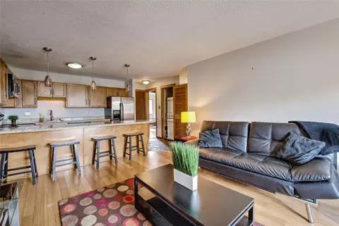 833 Straight Creek Dr #303, Dillon, CO 80435
