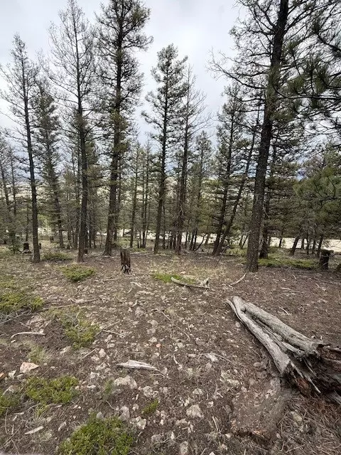 2689 Redhill Rd, Fairplay, CO 80440