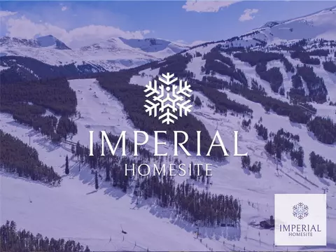 2 4 Oclock Run Rd, Breckenridge, CO 80424