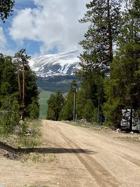 493 511 Spruce Dr, Twin Lakes, CO 81251
