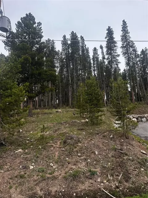 tbd American Way, Breckenridge, CO 80424