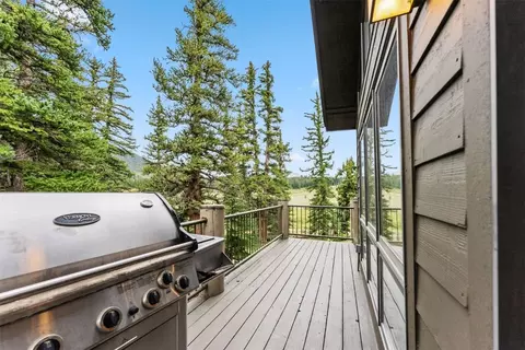 1118 Penstemon Rd, Keystone, CO 80435 photo 16