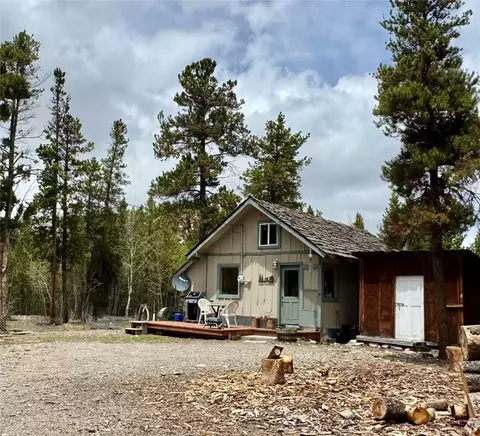 721 Buckskin Rd, Alma, CO 80420