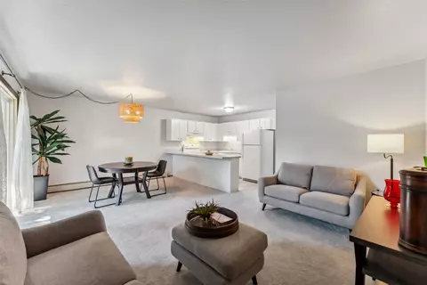 1143 Straight Creek Dr #206, Dillon, CO 80435