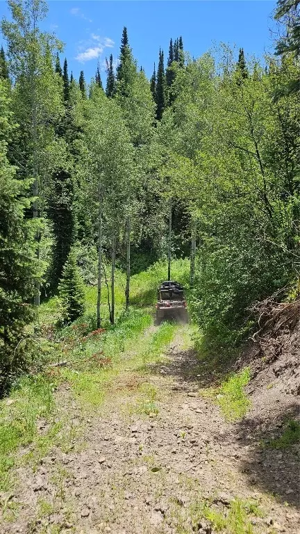 tbd Rcr 50, Steamboat Springs, CO 80487