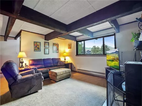 Living - 1346 Rainbow Dr, Silverthorne, CO 80498 photo 10 of 11