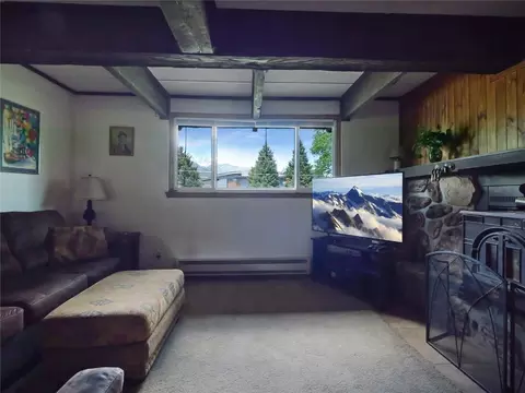 Living - 1346 Rainbow Dr, Silverthorne, CO 80498 photo 8 of 11