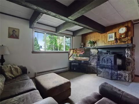 Living - 1346 Rainbow Dr, Silverthorne, CO 80498 photo 9 of 11