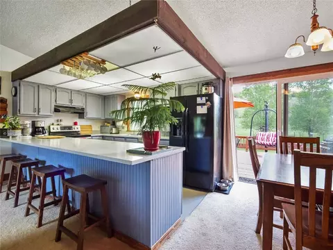Kitchen - 1346 Rainbow Dr, Silverthorne, CO 80498 photo 3 of 4