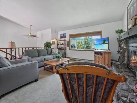 Living - 1346 Rainbow Dr, Silverthorne, CO 80498 photo 4 of 11