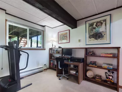 Other - 1346 Rainbow Dr, Silverthorne, CO 80498 photo 3 of 11