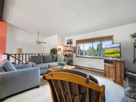 Living - 1346 Rainbow Dr, Silverthorne, CO 80498 photo 11 of 11
