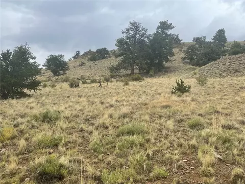 901 Elkhorn View Dr, Como, CO 80432 photo 9