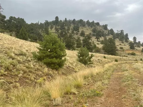 901 Elkhorn View Dr, Como, CO 80432