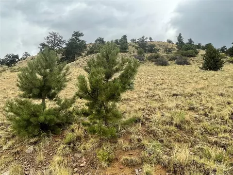 901 Elkhorn View Dr, Como, CO 80432 photo 11
