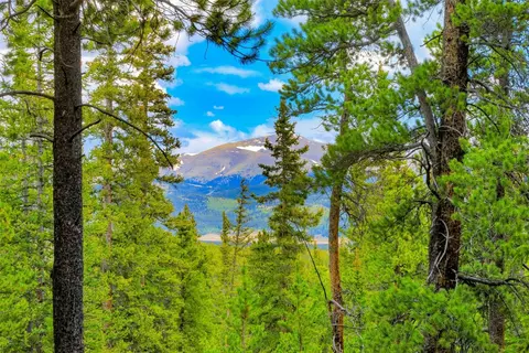 tbd Dry Gulch, Fairplay, CO 80440