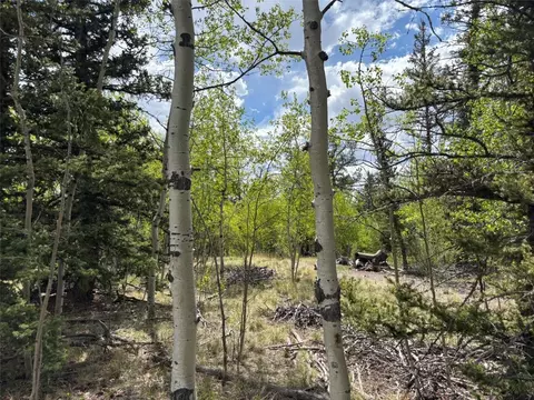 514 Chief Trl, Como, CO 80432
