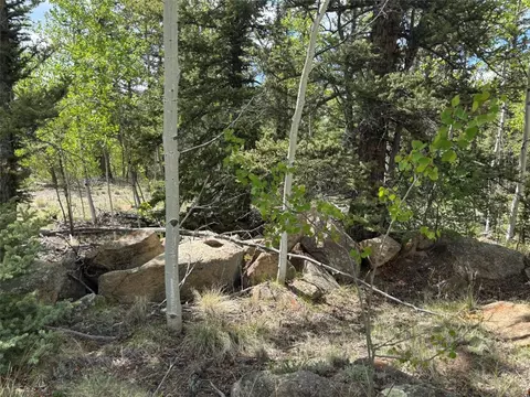 514 Chief Trl, Como, CO 80432 photo 9