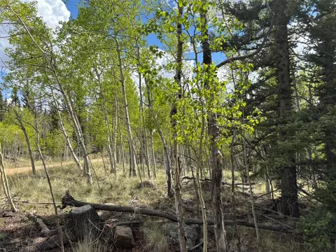 514 Chief Trl, Como, CO 80432 photo 2
