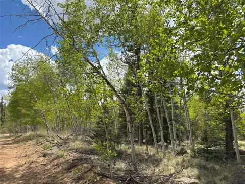 514 Chief Trl, Como, CO 80432 photo 10