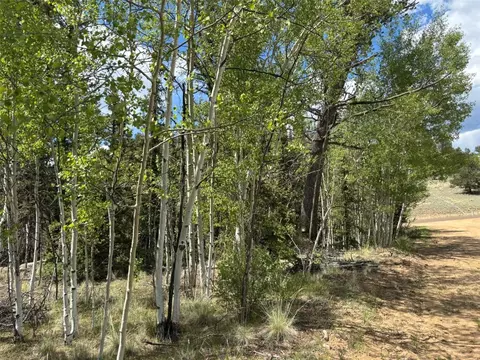 514 Chief Trl, Como, CO 80432 photo 11
