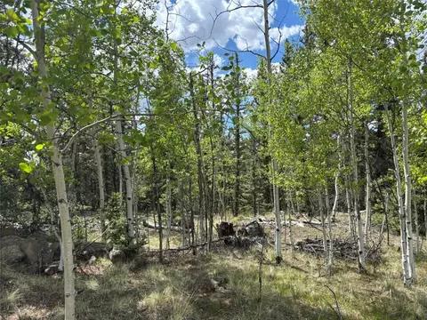 514 Chief Trl, Como, CO 80432 photo 7