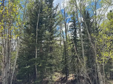 75 Ithaca Ln, Como, CO 80432 photo 5