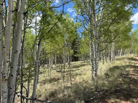 75 Ithaca Ln, Como, CO 80432 photo 4
