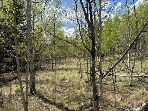 75 Ithaca Ln, Como, CO 80432 photo 6