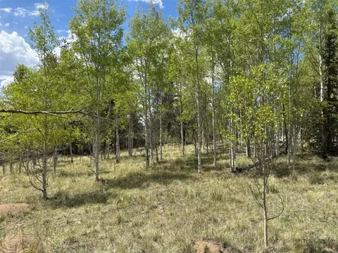 75 Ithaca Ln, Como, CO 80432 photo 7