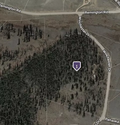 1245 Winchester Dr, Como, CO 80432 photo 4