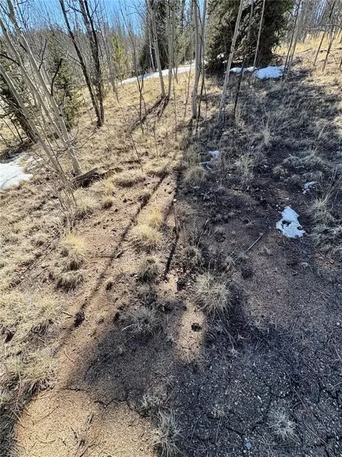 1245 Winchester Dr, Como, CO 80432 photo 20