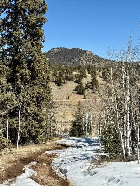 1245 Winchester Dr, Como, CO 80432 photo 24