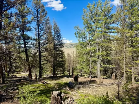 lot223 Middle Fork Vis, Fairplay, CO 80440