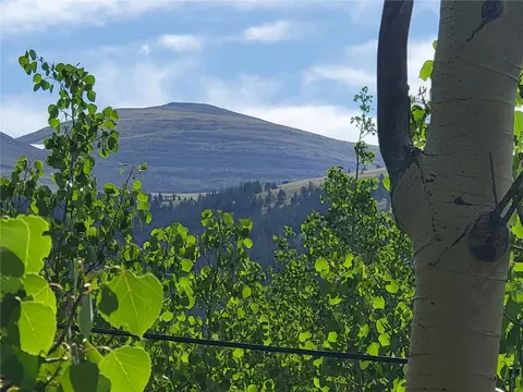 1191 Quartzville Rd, Alma, CO 80420