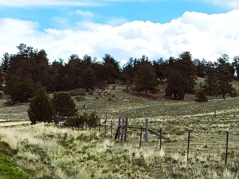 384 Cathy Dr, Hartsel, CO 80449 photo 23