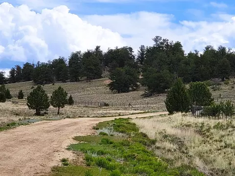 384 Cathy Dr, Hartsel, CO 80449 photo 22